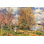 « les petites prés au printemps » par alfred sisley, reproduction d’art