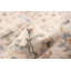 Tapis ivoire Gloria-1988272308