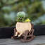 Statue Planter