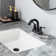 Centerset 2-handle Bathroom Faucet with Drain Assembly