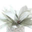 Holiday Magnolia Leaf Arrangement in Glass Vase