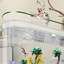 Aquarium simple et moderne simple-105907319