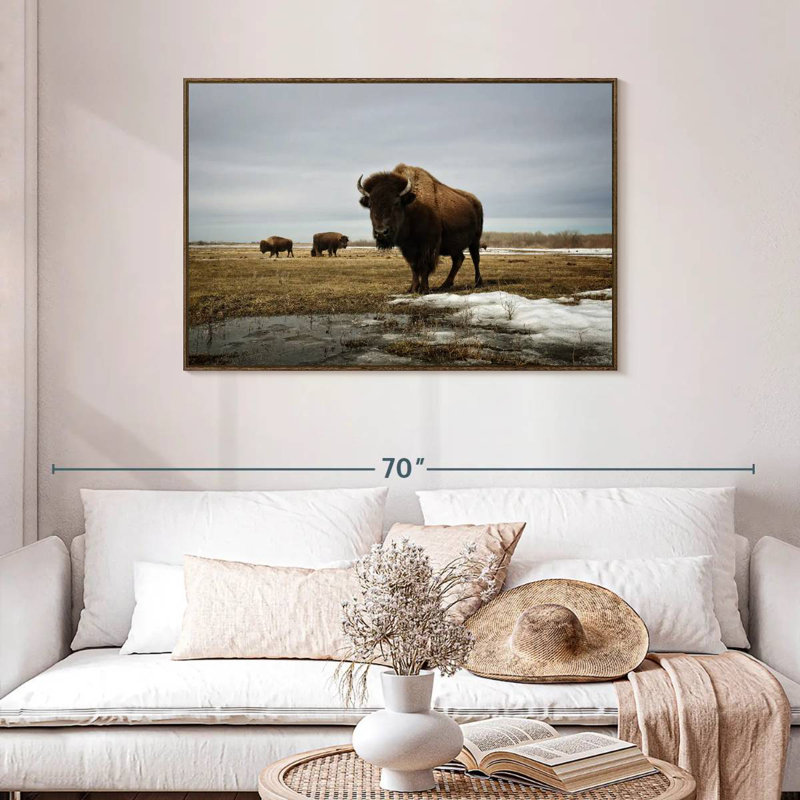 Bison Cloud Day, Cadre flottant en noyer, 43 po x 29 po