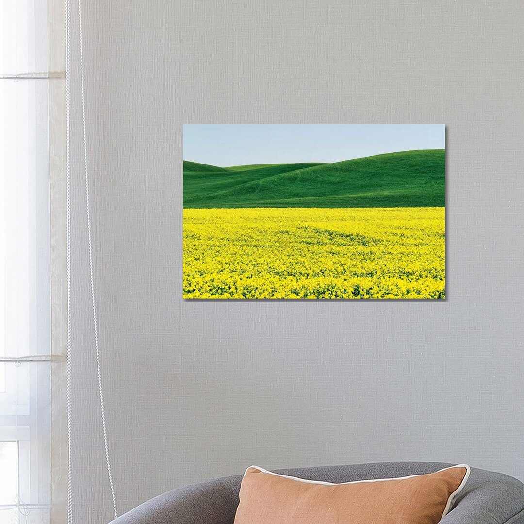 Canola Field In Spring von Terry Eggers - No Frame Gallery-Wrapped Canvas Giclée on Canvas