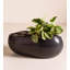 Burmont Planter-886891743
