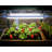 Palram - Canopia Brighton Grow Light