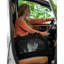 Transporteur pour animaux