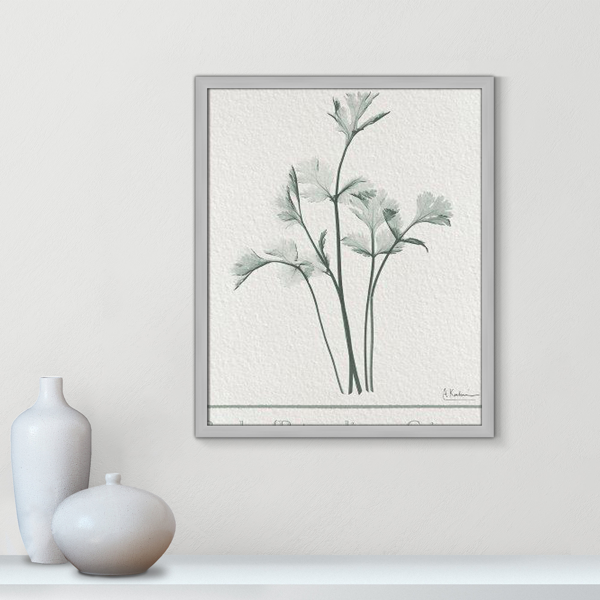 Parsley II Framed On Paper by Albert Koetsier Print, Matte Silver Framed Paper, 25.5" H x 21.5" W x 1.25" D