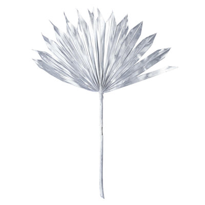 13.75'' Plant