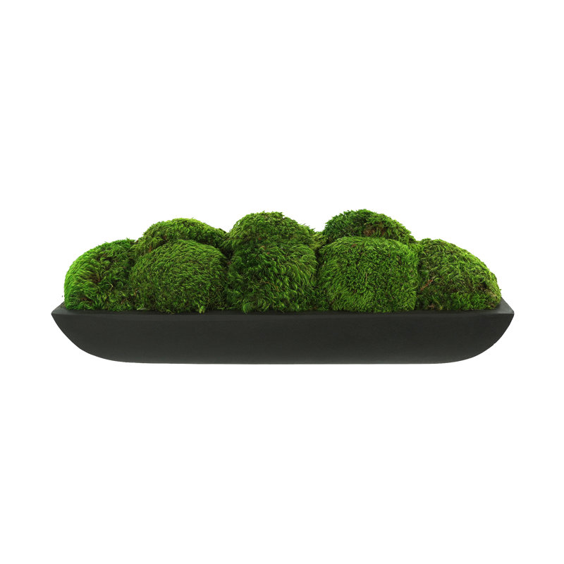 Moss Preserved in Oblong Planter, 7" H x 19.5" W x 7.5" D