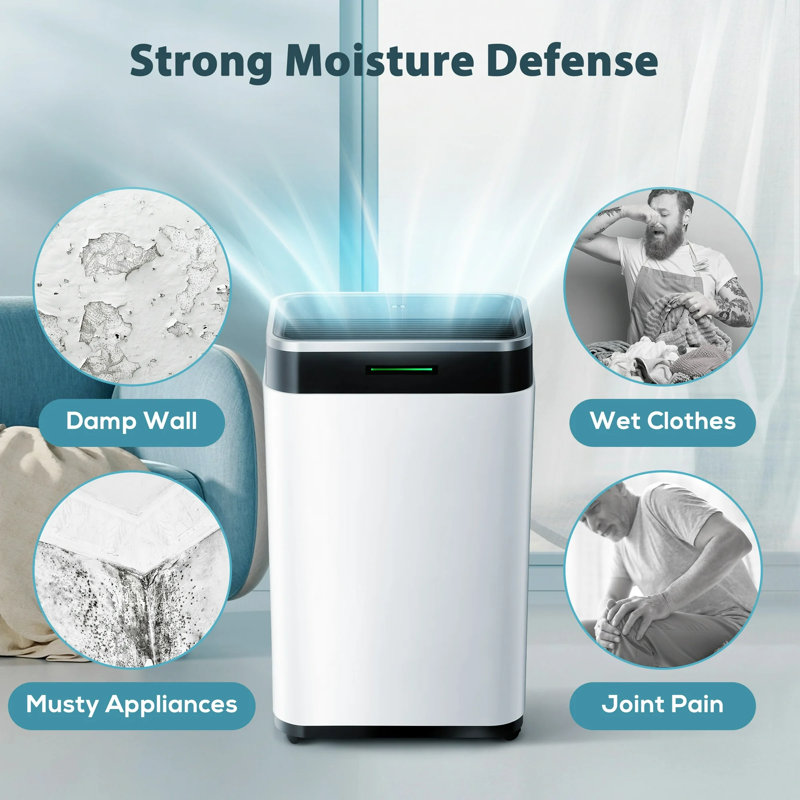 Antarctic Star 45-Pints/Day High Humidity Dehumidifier W/Washable Filter,3 Modes, 24-H Setting,