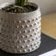 Orchid in White Ceramic Dot Pot 400mm-1237655199