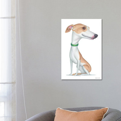 Whippet
