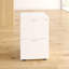 Buariki 46.4cm Wide 2 -Drawer File Cabinet-29709307