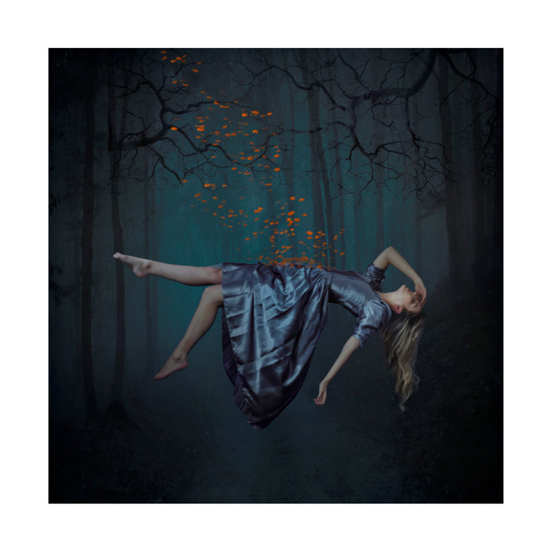 Art sur toile Catchlight Studio, H 18 po x l 18 po