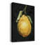 Citron foncé II - impression sur toile tendue-1278385414