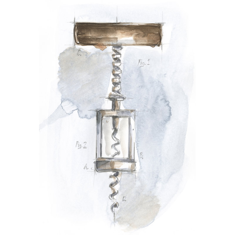 Corkscrew Variety I 1 Piece Wrapped Canvas Painting, 76cm H x 50cm W