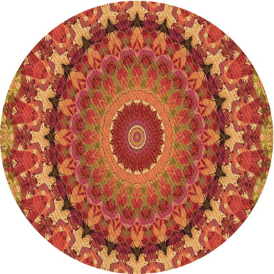 Indoor Rug