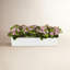Kalanchoe Arrangement in Fiberstone Planter-1628801912-1646607022
