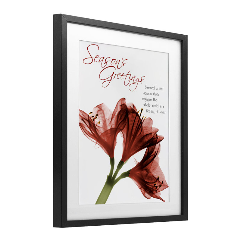 «Season's Greetings Holiday Amaryllis», reproduction sous verre encadrée, design par Albert Koetsier, Cadre noir minuit