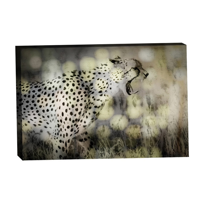 Féroce Bokeh Leopard par Grotto Studios