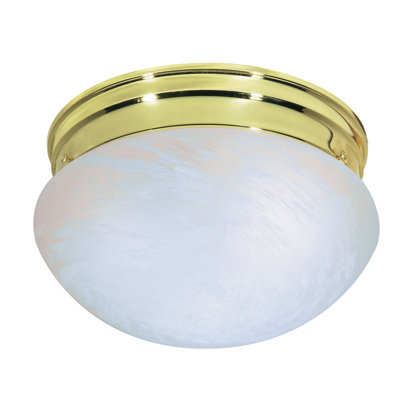 Plafonnier encastré 2 lumières 9,5 po Daughtrey