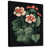 Toile avec cadre flottant noir sélectionné