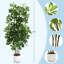 Arbre de parasol artificiel d'intérieur, grand arbre Schefflera de 4 pi avec pot de fleurs décoratif, plante verte artificielle réaliste pour la décoration de salon de bureau à domicile