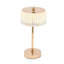 Allessa Metal Table Lamp