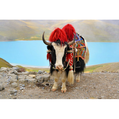 Tibet tibétain - photographie sur toile tendue