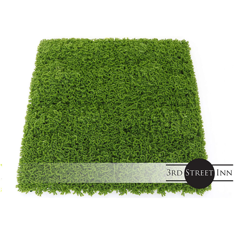 Mousse de verdure protégée contre les rayons UV pour la décoration extérieure. Panneaux 20 po x 20 po (ensemble de 2)