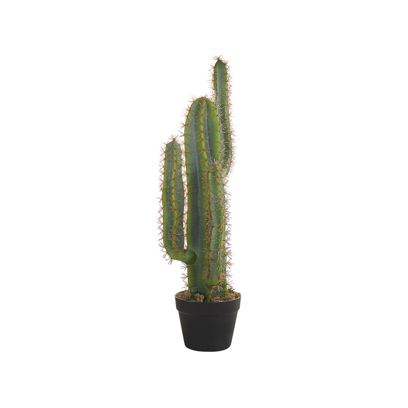 78cm Faux Cactus Plant in Pot
