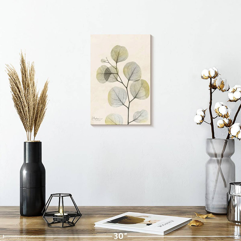 Harnek Sunkissed Eucalyptus III, 12" H x 8" W