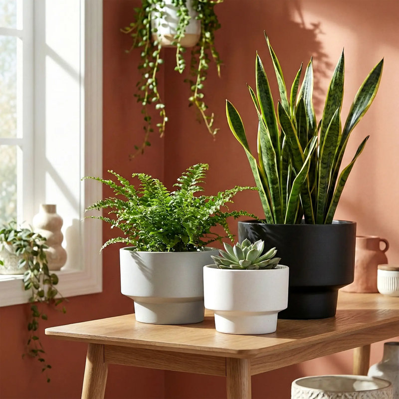Pots de jardin décoratifs modernes pour l'intérieur et l'extérieur