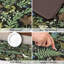 Ensemble de tapis de cuisine Botanical - noir et vert - 2 pièces, conception de feuille de plante, anti-fatigue coussinée, PVC imperméable, confort debout, utilisation dans la cuisine / le bureau / la lessive / l'évier