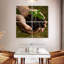 Senne New Seedling Sprouting-109121374