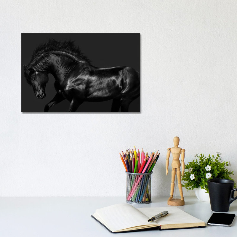 Black On Black by Samantha Carter - Wrapped Canvas Print, 20.32 cm H x 30.48 cm W