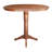 Ileia Extendable Solid Wood Dining Table-32479353