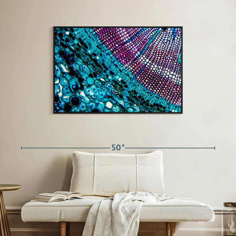 Pine Stem Under Microscope, 40" X 27", Floating Frame Black