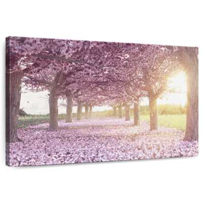 Harnek Cherry Blossom Morning