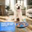 Jouets interactifs pour chien-115283990