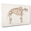 Mammoth Skeleton by Charles D Orbigny - Wrapped Canvas Drawing - Wrapped Canvas-55362789