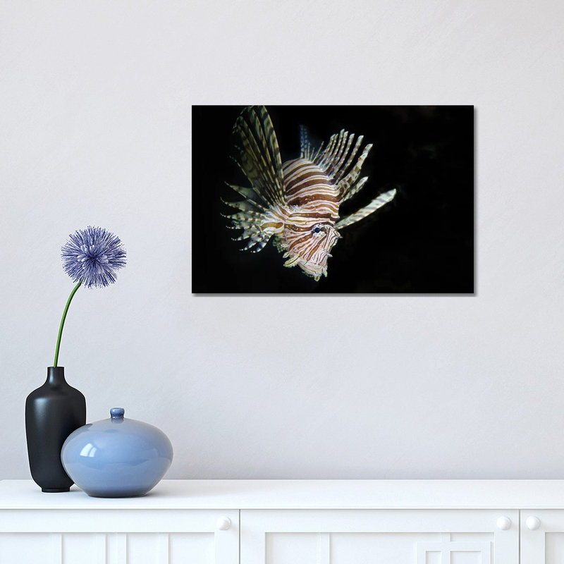 In the Dark 1 Piece Wall Art on Canvas, 30.48 cm H x 45.72 cm W, Wrapped Canvas
