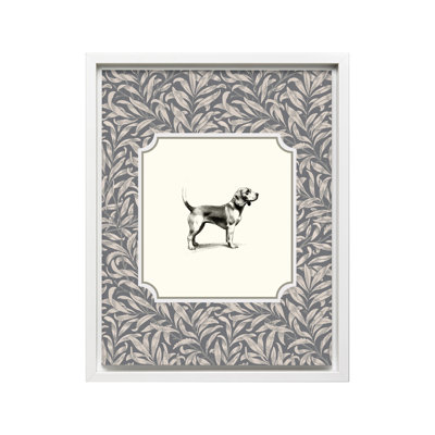 Beagle Dog