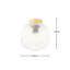 Glass Flush Mount