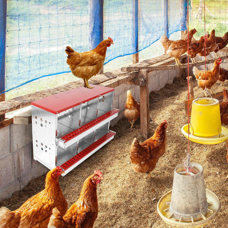 Erasmus Two-Tier Chicken Nesting Boxes,6 Compartment Nesting Boxes for Chickens, Galvanized Steel Chicken Laying Boxes with Lid Cover
