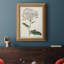 Toile encadrée de qualité supérieure Antique Botanical Collection-1571066097