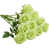 Vert clair