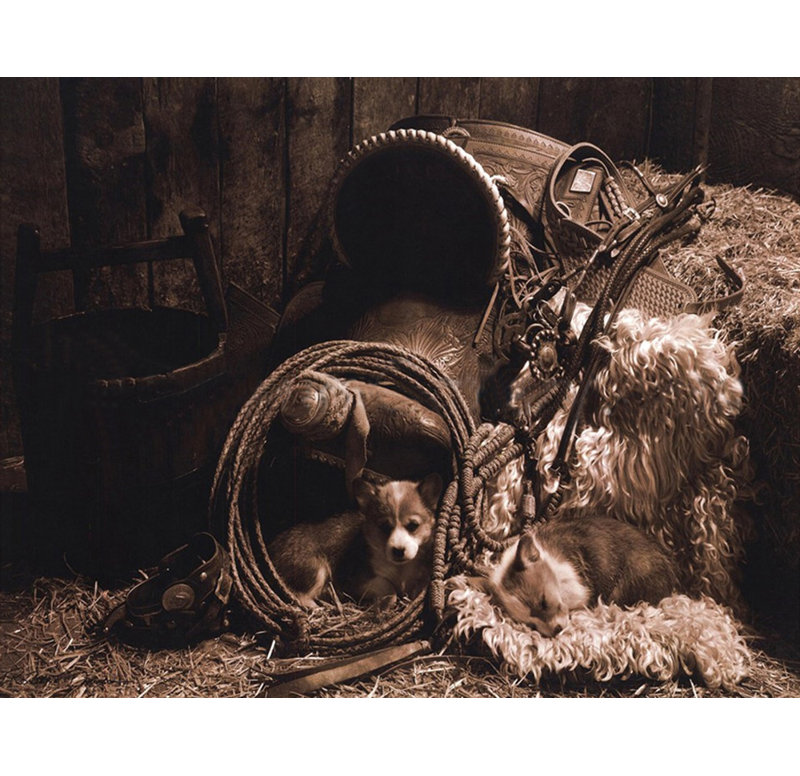 Waitin For The Boss, 19" H x 24" W