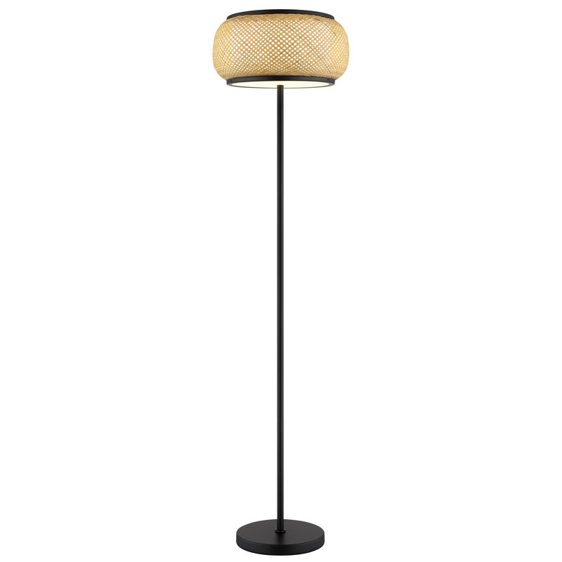 146cm Matte LED Novelty Floor Lamp